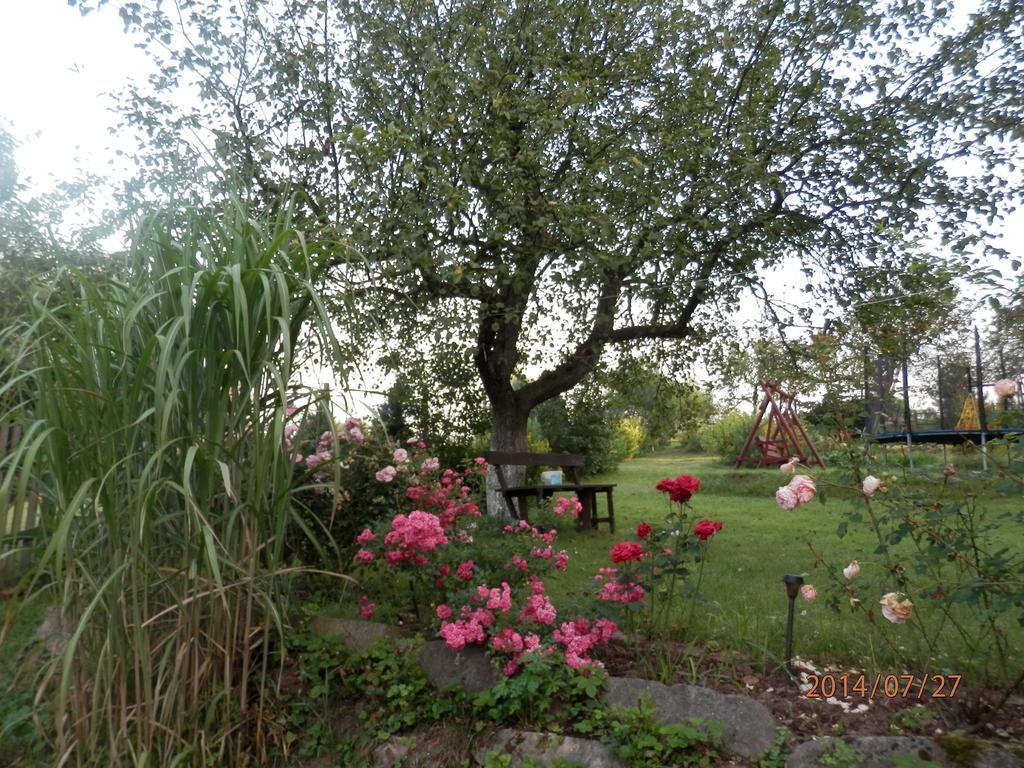 Zagroda Agroturystyczna Wiecha Mieroszow Exterior foto
