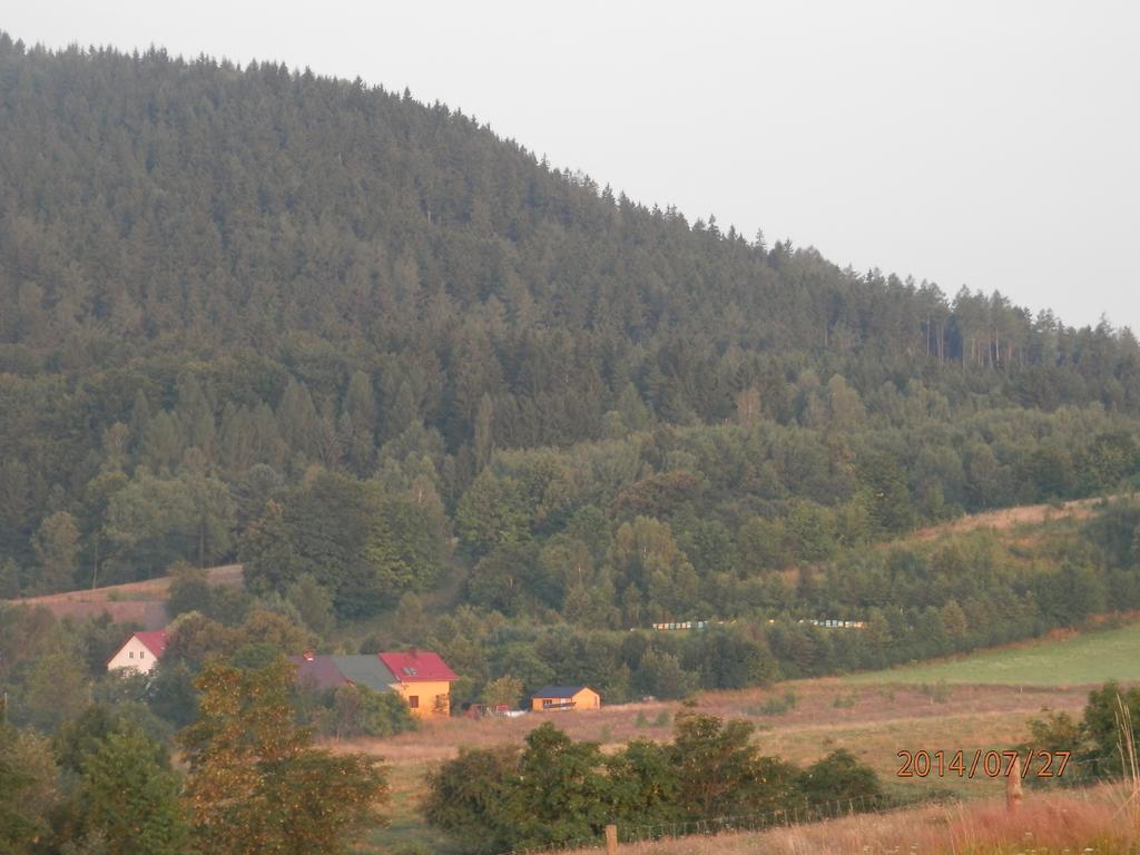 Zagroda Agroturystyczna Wiecha Mieroszow Exterior foto